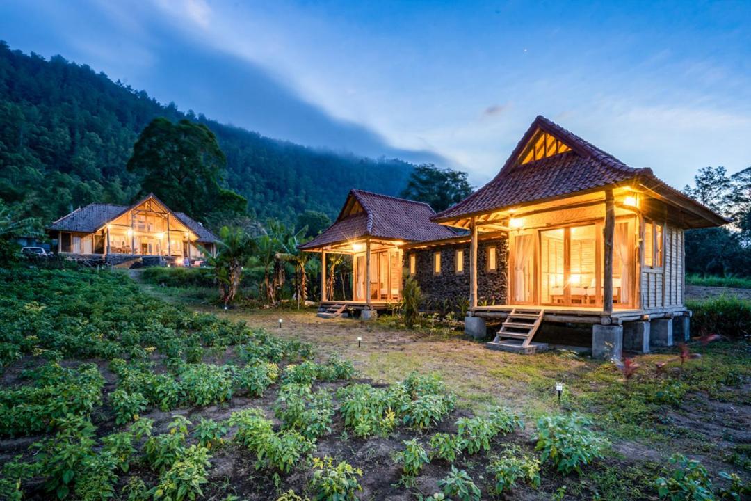 Pondok Manoka Kintamani  Exterior photo